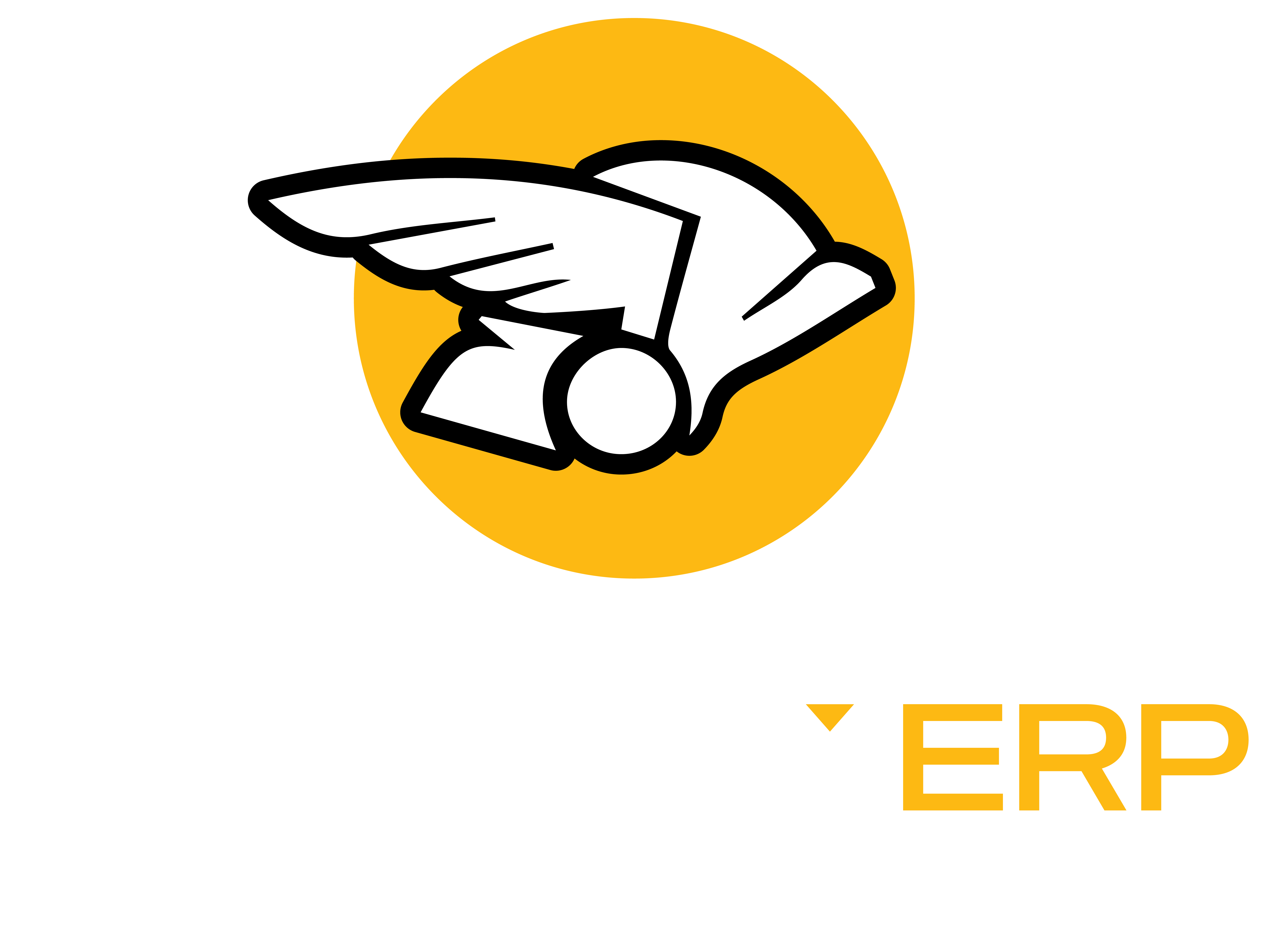 Mercury ERP